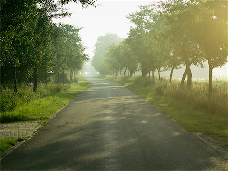 ruinerwold - Doctor Larijweg Road, Ruinerwold, De Wolden, Netherlands Foto de stock - Sin royalties Premium, Código: 600-01585733