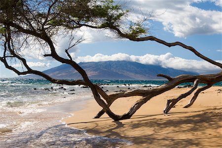 Overview of Beach, Maui, Hawaii, USA Foto de stock - Sin royalties Premium, Código: 600-01585954