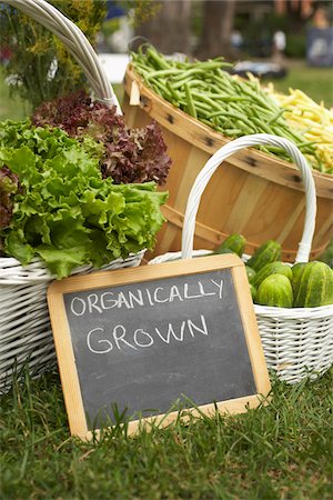 farm to table - Vegetable Stand Foto de stock - Sin royalties Premium, Código: 600-01586316