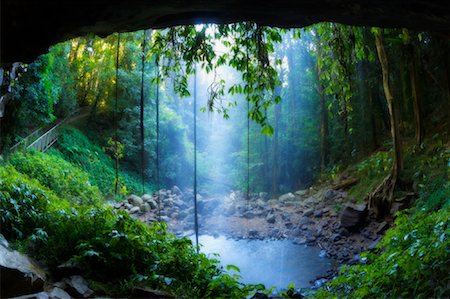 paradise scene - Crystal Shower Falls, Dorrigo National Park, New South Wales, Australia Stock Photo - Premium Royalty-Free, Code: 600-01604015