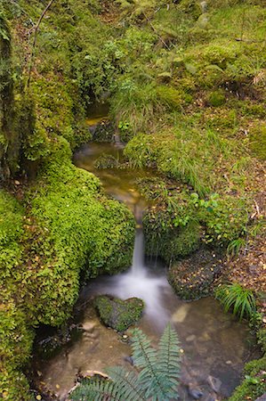 simsearch:600-03659218,k - Creek, Lewis Pass, South Island, New Zealand Foto de stock - Sin royalties Premium, Código: 600-01604017