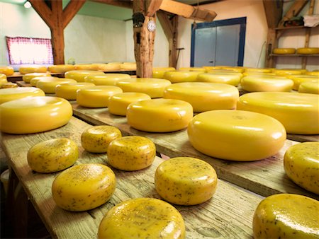 dairy farm - Dairy Farm, Netherlands Stock Photo - Premium Royalty-Free, Code: 600-01606968