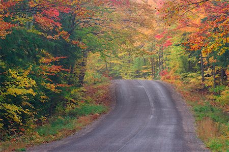 simsearch:700-00556748,k - Route à travers les arbres en automne (Ontario), Canada Photographie de stock - Premium Libres de Droits, Code: 600-01606979