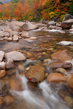 simsearch:600-01072404,k - Swift River and Forest in Autumn, White Mountains National Forest, New Hampshire, USA Stock Photo - Premium Royalty-Free, Code: 600-01606989