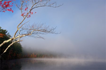 Chocorua Lake with Mist, New Hampshire, USA Stock Photo - Premium Royalty-Free, Code: 600-01606995