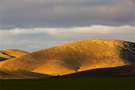 Foothills of Flinders Ranges, South Australia, Australia Stock Photo - Premium Royalty-Free, Code: 600-01603958