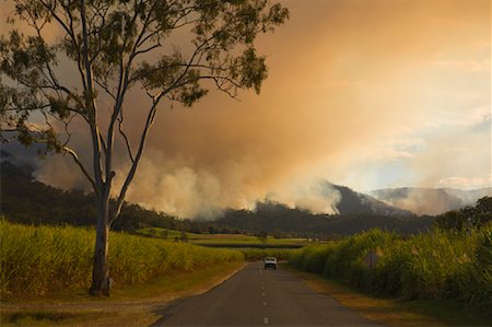 Feu de brousse, Finch Hatton, Pioneer Valley, Queensland, Australie Photographie de stock - Premium Libres de Droits, Code: 600-01603952