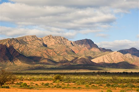 parc national flinders ranges - Flinders Ranges, Parc National des Flinders Ranges, Australie-méridionale, Australie Photographie de stock - Premium Libres de Droits, Code: 600-01603964