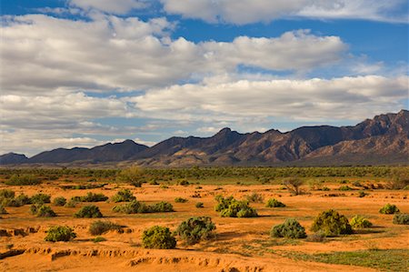 parc national flinders ranges - Flinders Ranges, Parc National des Flinders Ranges, Australie-méridionale, Australie Photographie de stock - Premium Libres de Droits, Code: 600-01603963