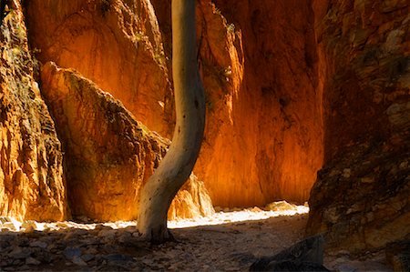 simsearch:700-08232342,k - Standley Chasm, West MacDonnell National Park, Northern Territory Australia Foto de stock - Sin royalties Premium, Código: 600-01603977