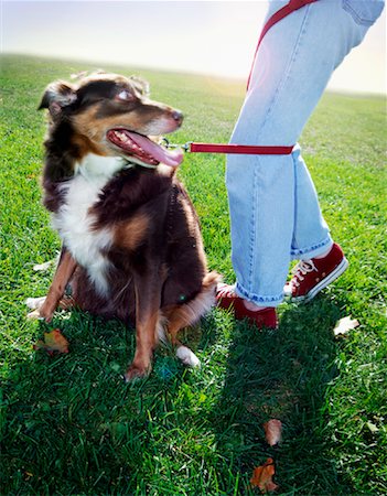 Dog with Leash Tangled in Owner's Legs Stock Photo - Premium Royalty-Free, Code: 600-01630319