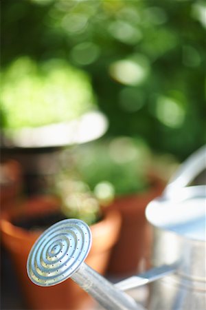 planters - Watering Can Stock Photo - Premium Royalty-Free, Code: 600-01644904