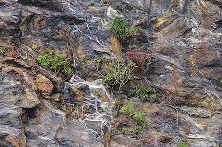 Felswand, Blue Ridge Parkway, North Carolina, USA Stockbilder - Premium RF Lizenzfrei, Bildnummer: 600-01670754