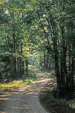 route moins fréquentée - Route de campagne, les terres entre les lacs National Recreation zone, Tennessee, États-Unis Photographie de stock - Premium Libres de Droits, Code: 600-01670751