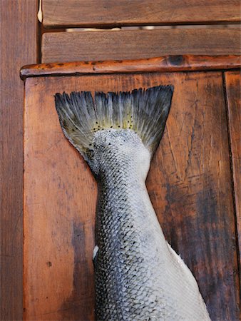 escama - Close-up of Fish Tail Foto de stock - Sin royalties Premium, Código: 600-01695055