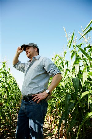 radius200801 - Homme dans le champ de maïs Photographie de stock - Premium Libres de Droits, Code: 600-01715967