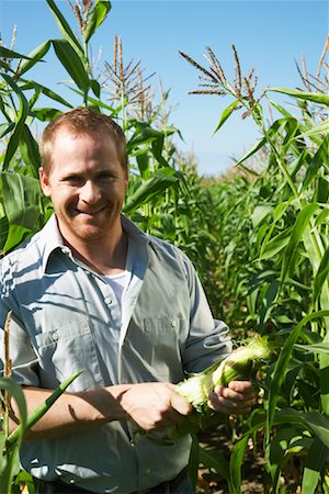 Farmer Inspecting Corn Stock Photo - Premium Royalty-Free, Code: 600-01715960