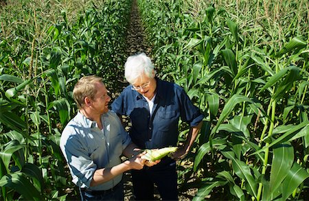 simsearch:600-07148353,k - Men Checking Corn in Cornfield Foto de stock - Sin royalties Premium, Código: 600-01715974