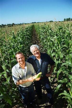 récolte des céréales - Hommes vérification de maïs dans le champ de maïs Photographie de stock - Premium Libres de Droits, Code: 600-01715976