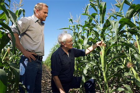 simsearch:600-07148353,k - Men Checking Corn in Cornfield Foto de stock - Sin royalties Premium, Código: 600-01715977