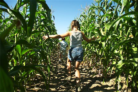 farm girl jeans - Enfants qui courent à travers champ de maïs Photographie de stock - Premium Libres de Droits, Code: 600-01715979