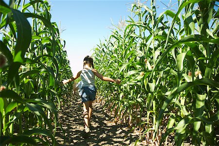 Enfants qui courent à travers champ de maïs Photographie de stock - Premium Libres de Droits, Code: 600-01715980