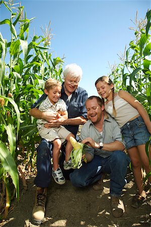 simsearch:700-00014936,k - Famille regardant le maïs dans le champ de maïs Photographie de stock - Premium Libres de Droits, Code: 600-01715993