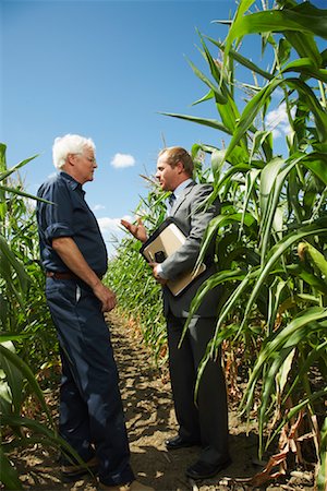 récolte des céréales - Agriculteur et homme d'affaires dans le champ de maïs Photographie de stock - Premium Libres de Droits, Code: 600-01716009