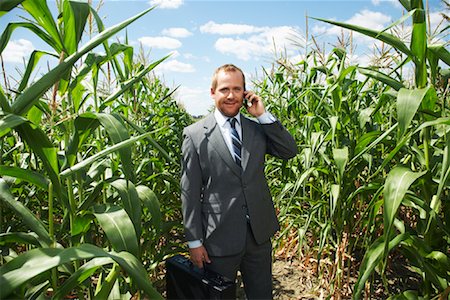 simsearch:600-01716071,k - Businessman in Cornfield Stock Photo - Premium Royalty-Free, Code: 600-01716014