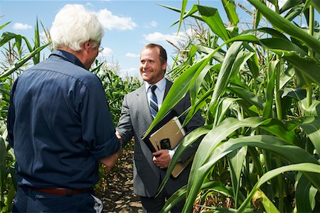 farmers and field and two people - Farmer and Businessman in Cornfield Stock Photo - Premium Royalty-Free, Code: 600-01716010