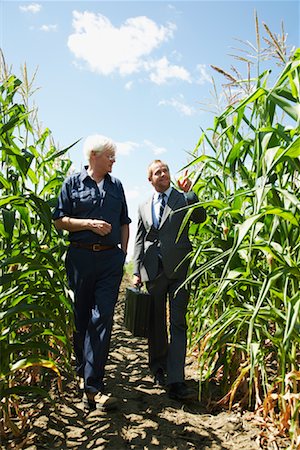 simsearch:600-01716071,k - Farmer and Businessman in Cornfield Fotografie stock - Premium Royalty-Free, Codice: 600-01716012