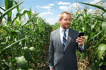 pictures of business people on their blackberry - Businessman in Cornfield Stock Photo - Premium Royalty-Free, Code: 600-01716013