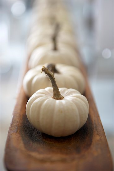 Decorative Pumpkins Stock Photo - Premium Royalty-Free, Artist: Michael Alberstat, Image code: 600-01716246