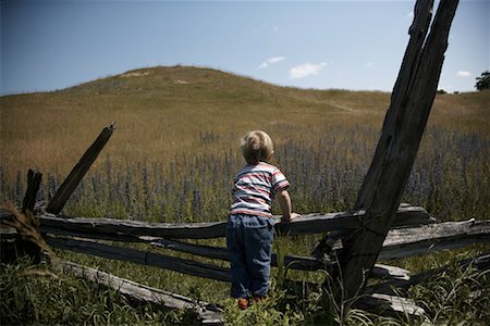 Boy Looking over Fence Stock Photo - Premium Royalty-Free, Code: 600-01716654