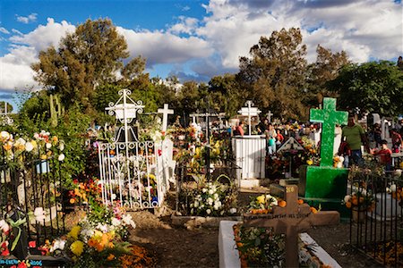 flower dying - Cemetery Decorated for Day of the Dead, San Miguel de Allende, Mexico Stock Photo - Premium Royalty-Free, Code: 600-01717119