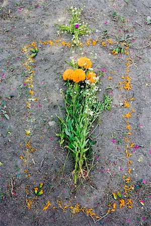 Flowers on Grave Site, San Miguel de Allende, Mexico Stock Photo - Premium Royalty-Free, Code: 600-01717113