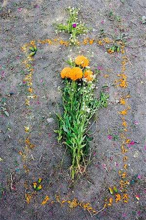 remembered - Flowers on Grave Site, San Miguel de Allende, Mexico Stock Photo - Premium Royalty-Free, Code: 600-01717113