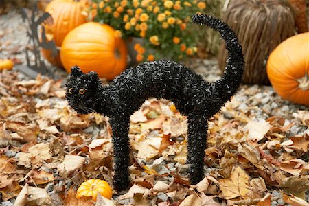 scary black cat - Autumn Display with Decorative Black Cat in Leaves Stock Photo - Premium Royalty-Free, Code: 600-01717676