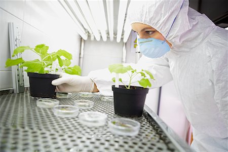 science beaker plants - Scientist Examining Plants Stock Photo - Premium Royalty-Free, Code: 600-01764564