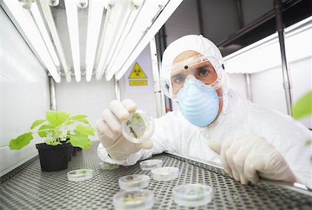 science beaker plants - Portrait of Scientist Stock Photo - Premium Royalty-Free, Code: 600-01764571