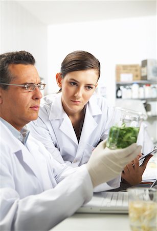 Scientists Examining Specimen Stock Photo - Premium Royalty-Free, Code: 600-01764582