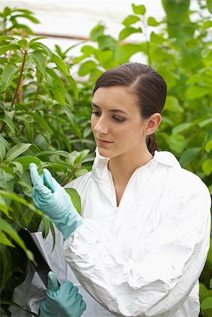 simsearch:600-01764612,k - Scientist in Greenhouse Foto de stock - Sin royalties Premium, Código: 600-01764605