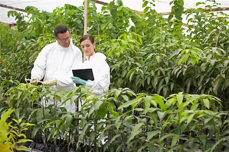 simsearch:600-01764612,k - Scientists in Greenhouse Foto de stock - Sin royalties Premium, Código: 600-01764603