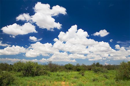 simsearch:600-03563824,k - Nuages au-dessus du désert de l'Arizona, USA Photographie de stock - Premium Libres de Droits, Code: 600-01788161