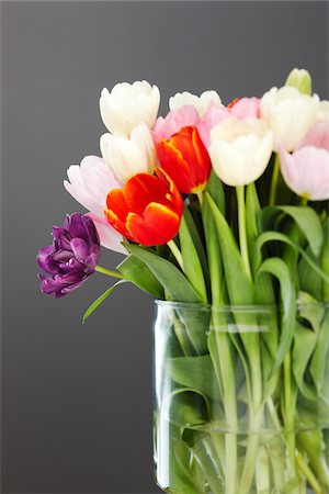 Close-Up of Tulips in Vase Foto de stock - Sin royalties Premium, Código: 600-01788539