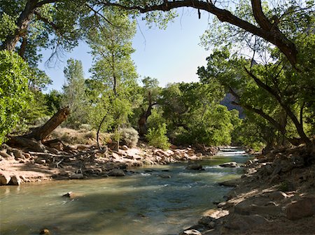 simsearch:700-00187462,k - River, Zion National Park, Utah, USA Stock Photo - Premium Royalty-Free, Code: 600-01788784