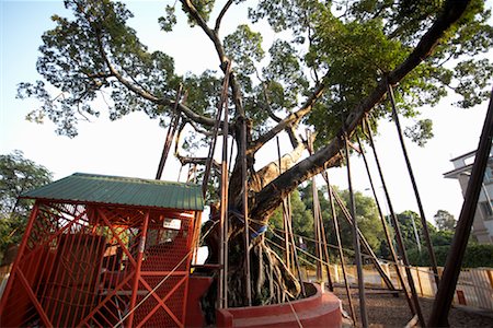 simsearch:700-02428868,k - Lam Tsuen Wishing Trees, Lam Tsuen, New Territories, Hong Kong, China Foto de stock - Sin royalties Premium, Código: 600-01879082