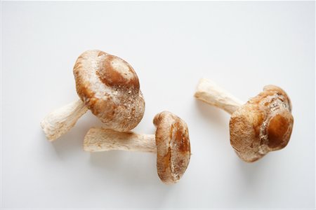 shiitake mushroom - Shitake Mushrooms Stock Photo - Premium Royalty-Free, Code: 600-01954646