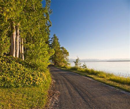 Road along Coast, Cortes Island, British Columbia, Canada Foto de stock - Sin royalties Premium, Código: 600-01954686