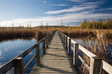 Boardwalk in Bog, Mer Bleue Conservation Area, Ottawa, Ontario, Canada Foto de stock - Sin royalties Premium, Código: 600-01954695